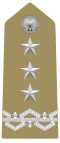 Tenente Generale[26] (Italian Army)