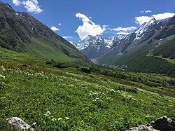 Valley of Flowers National Park