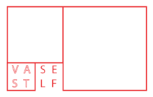 File:VastSelf logo.png