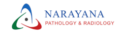 Cropped-logo-narayana.png