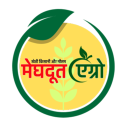 Fav-logo- (1).png