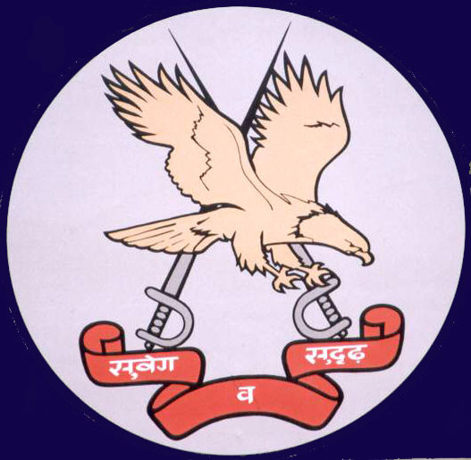 AAC insignia.jpg