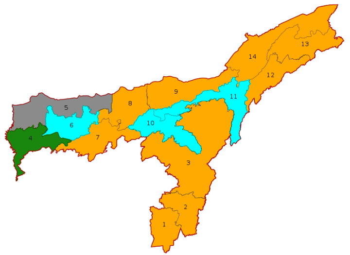 Assam Lok Sabha election result 2019.png