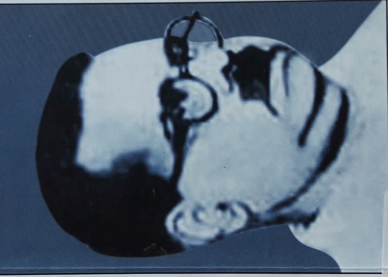 Bharathidasan (cropped).jpg