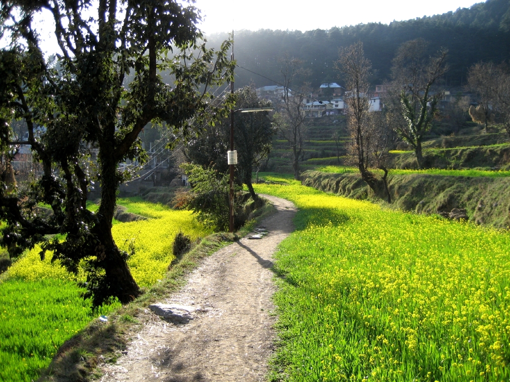 Dharamkot in Dharamsala.jpg