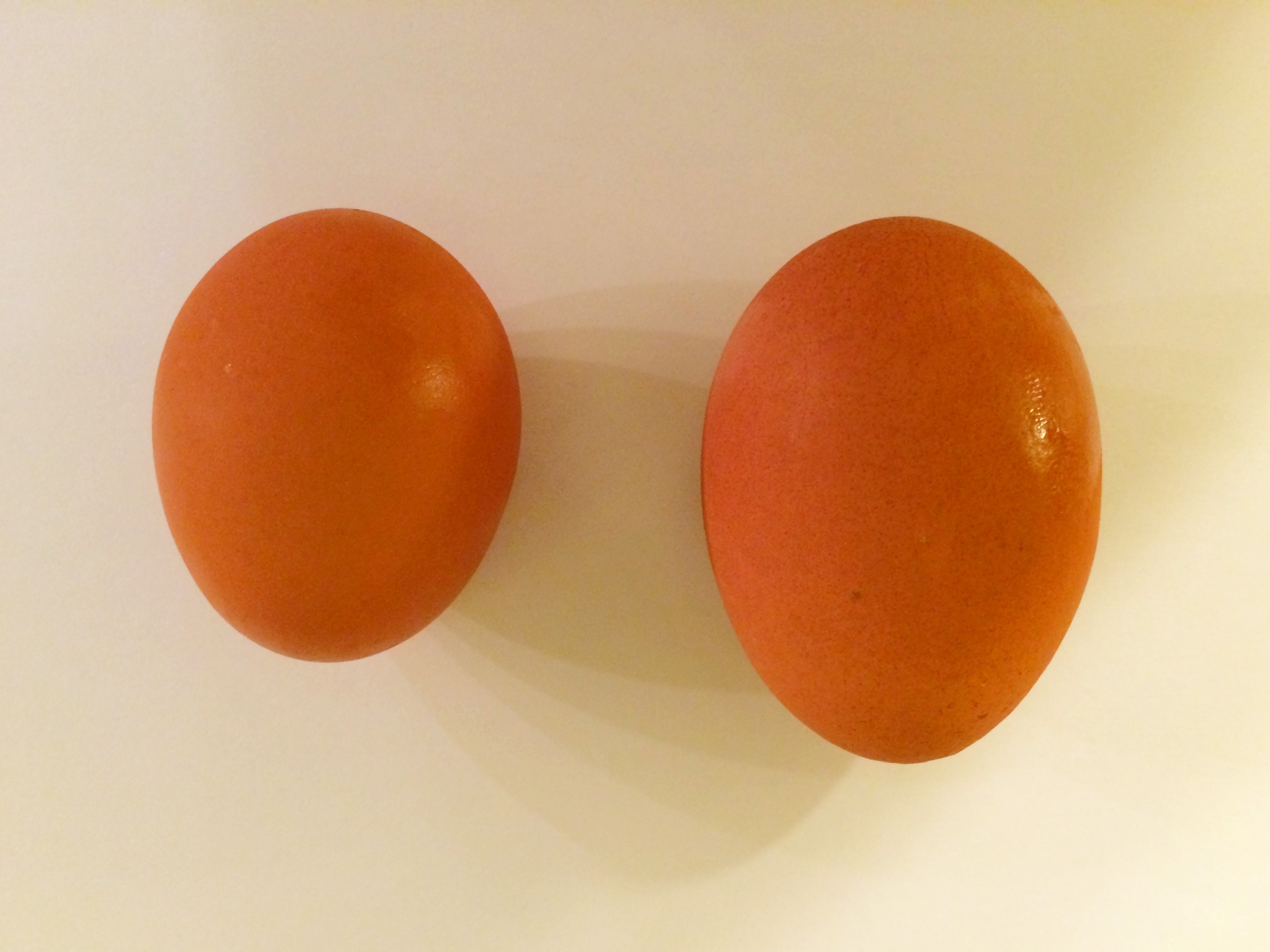 Comparison of an egg and a maxi egg with a double-yolk - closed (1/2)
