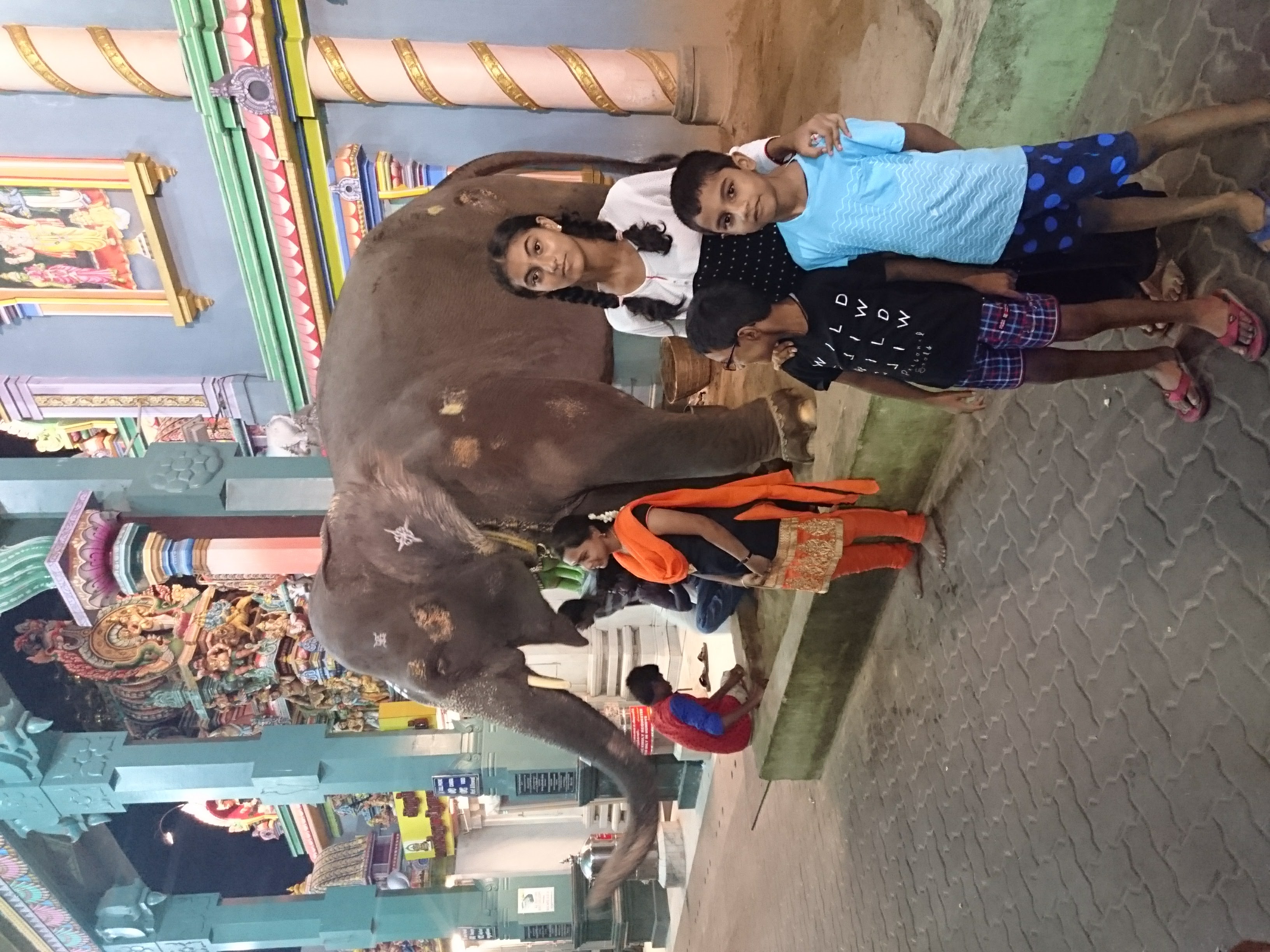 Devotees with Elephant Lakshmi in Manakula Vinayagar Temple