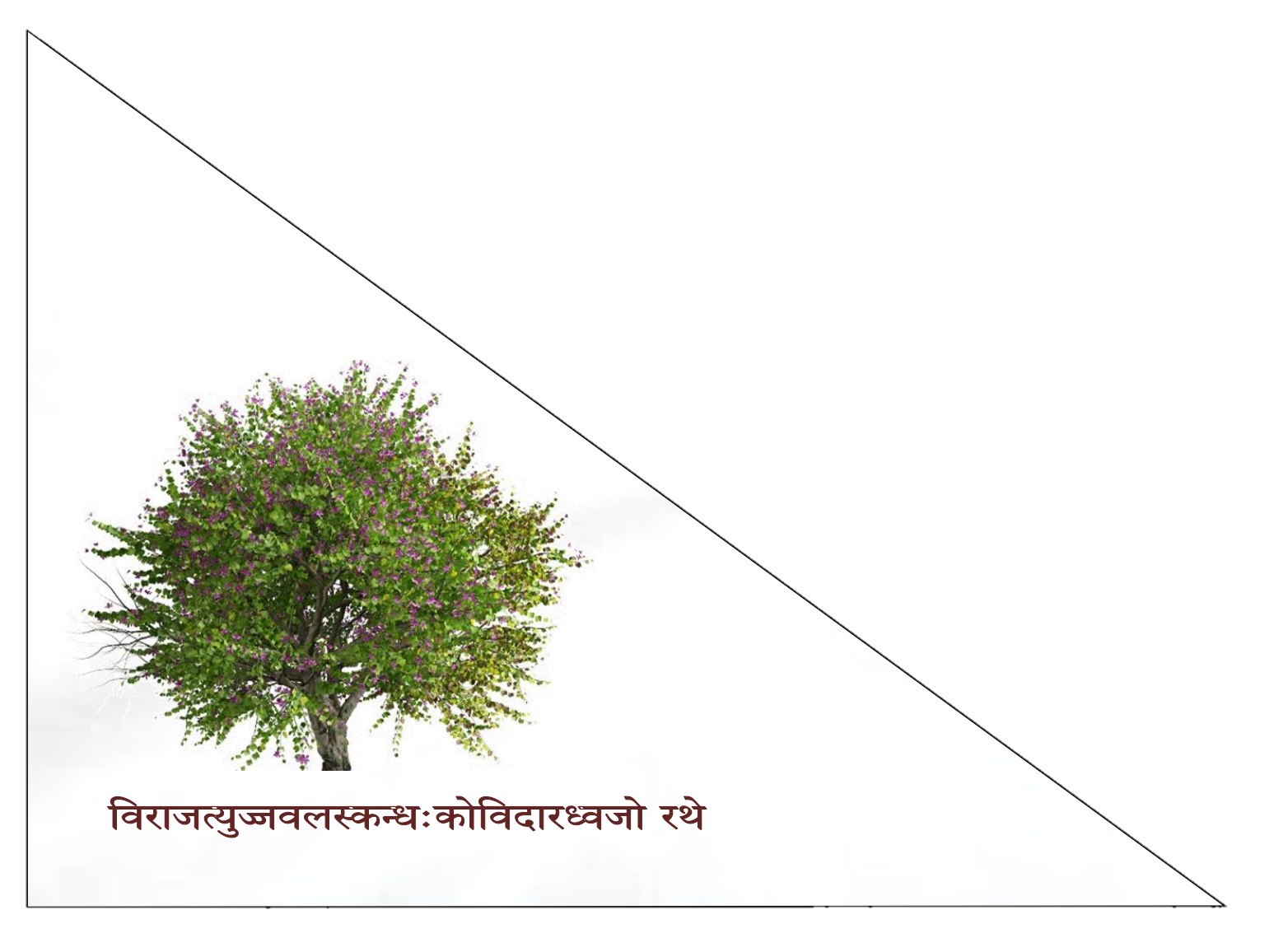 Flag of Kohra.png