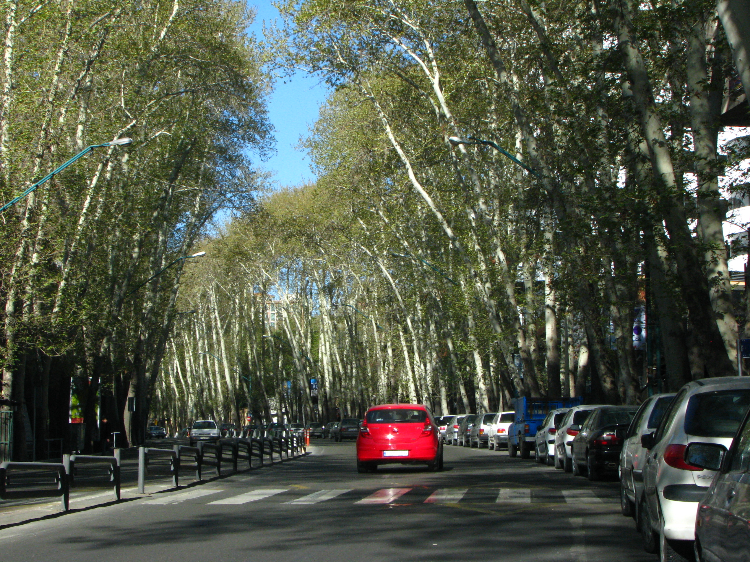 Valiasr Street