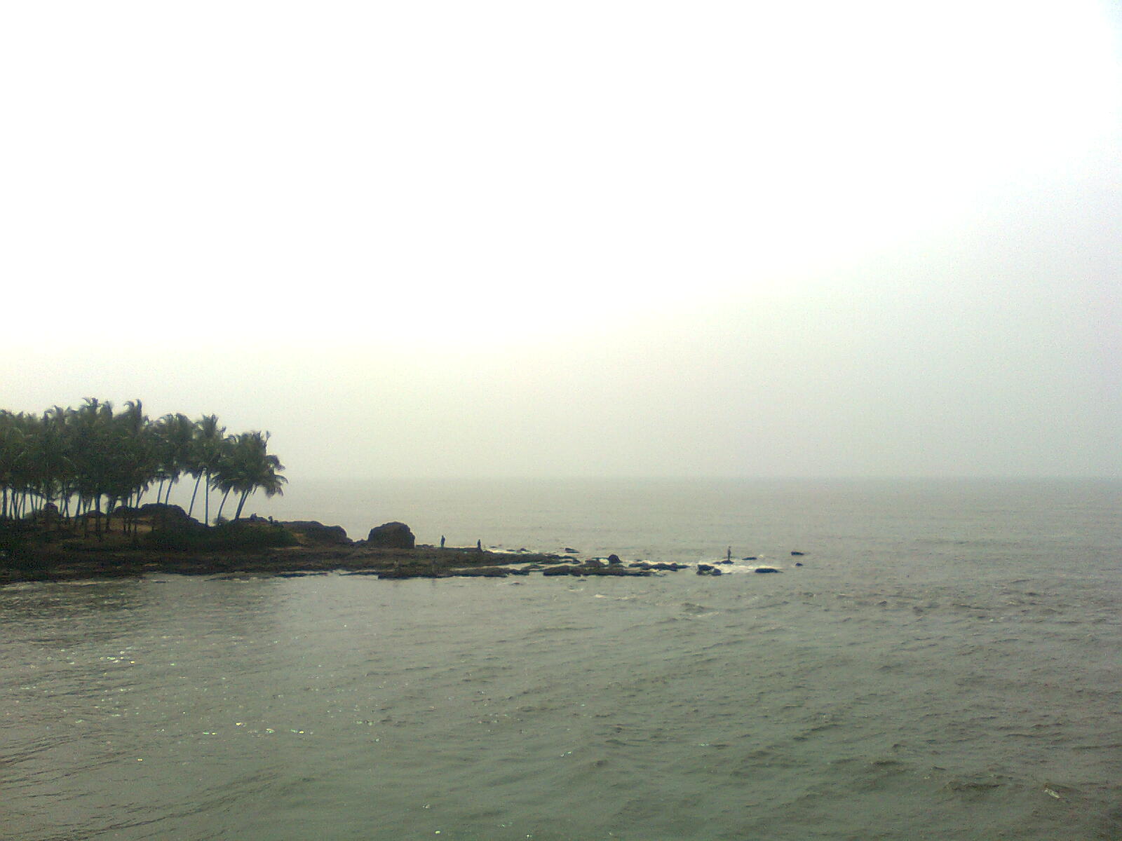 Kadalundi River.jpg