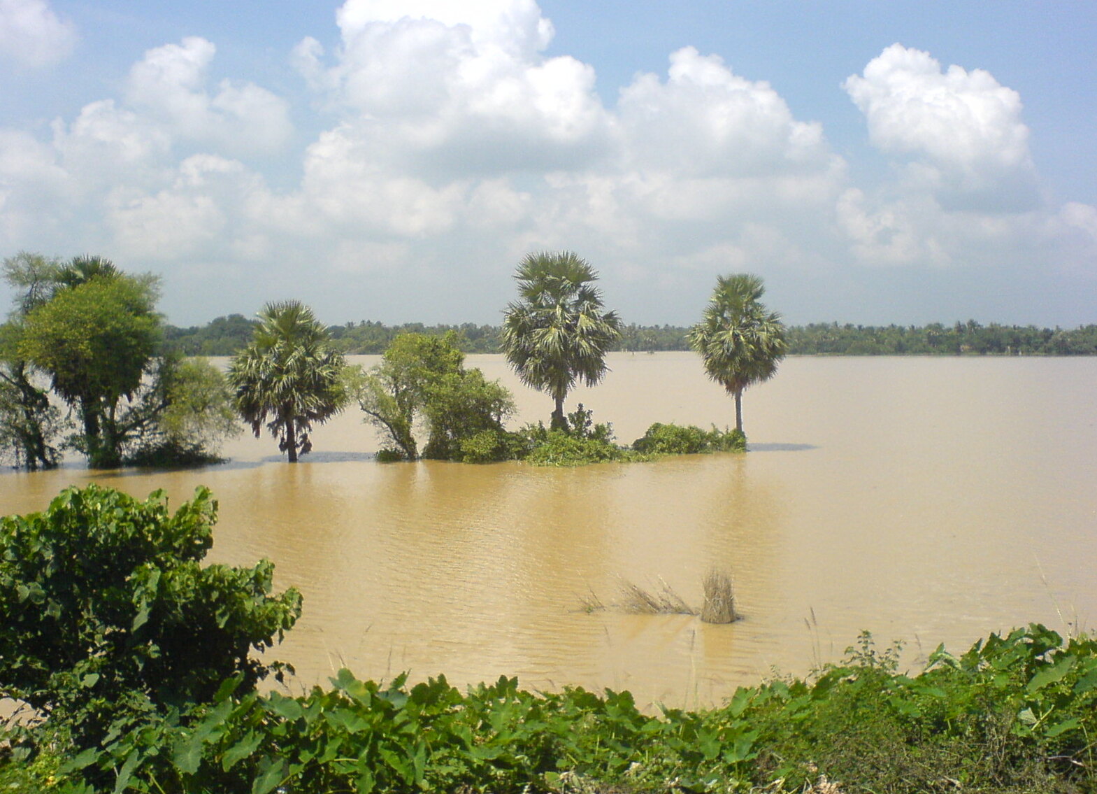 Kalinagar Floods B.JPG