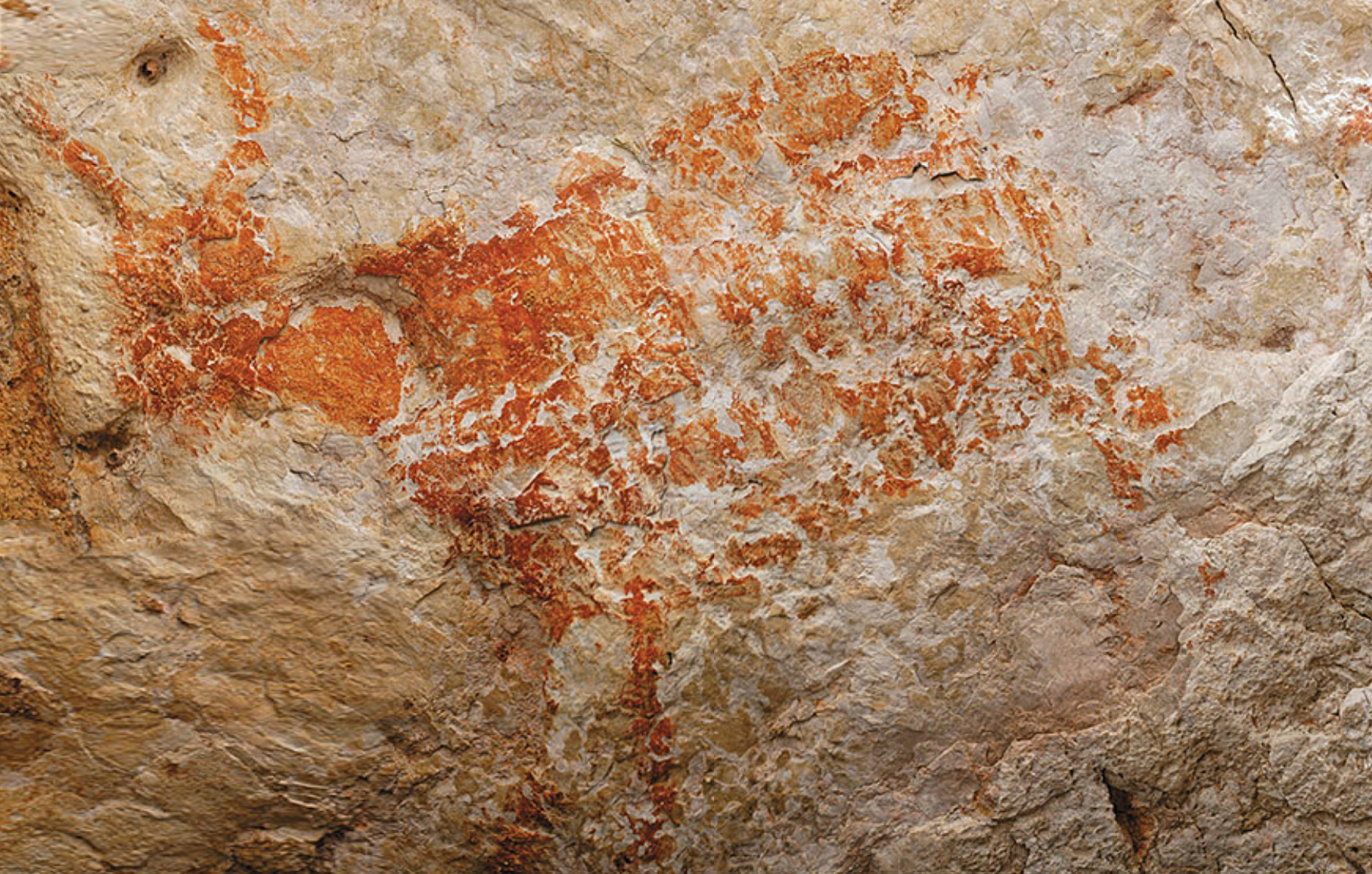 File:Lubang Jeriji Saléh cave painting of Bull.jpg