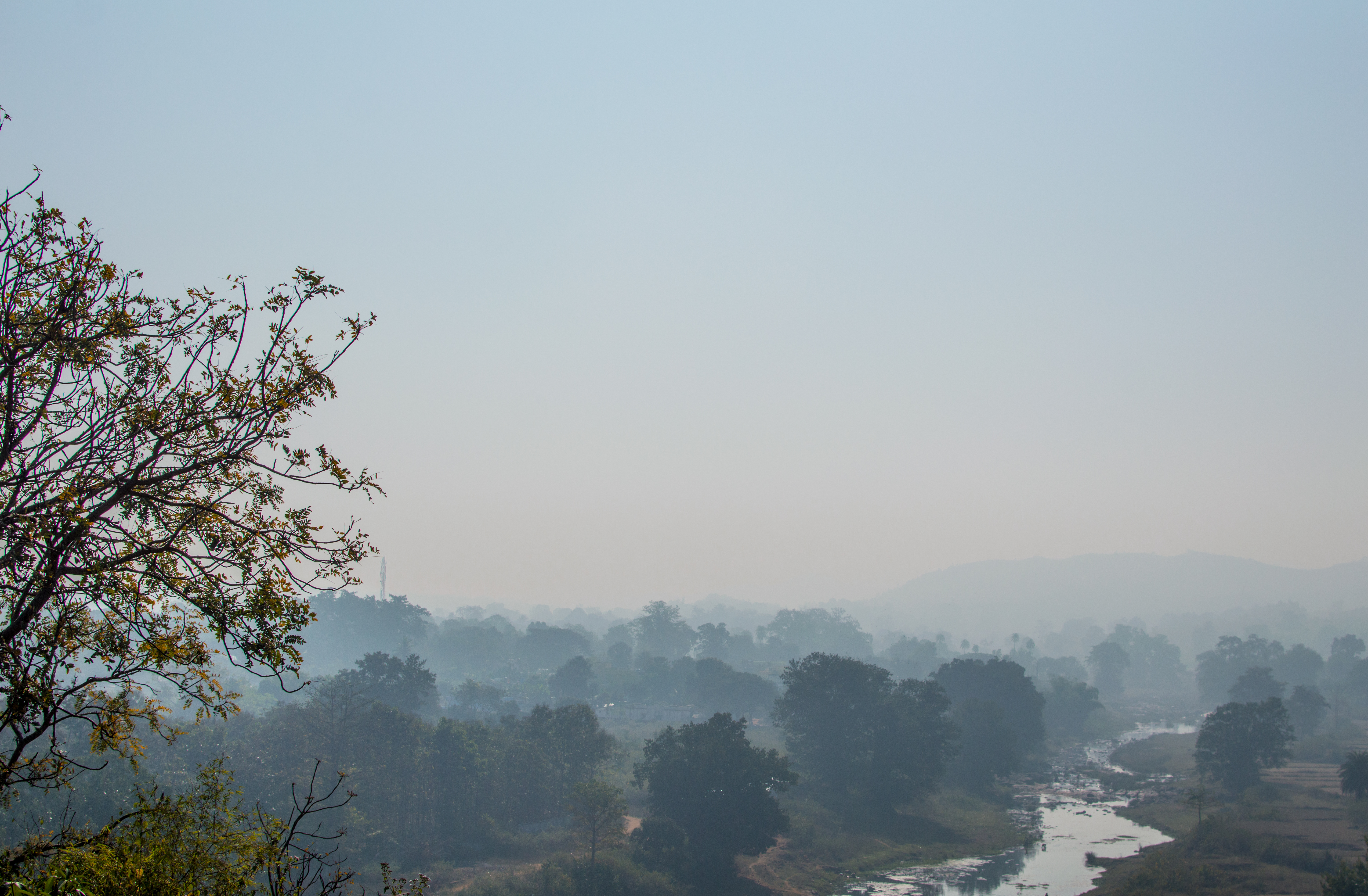 Misty Phulbani - DSC 7860.jpg