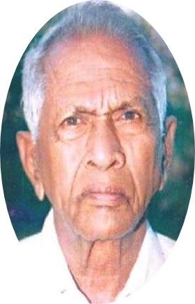 Nandyala Srinivasa Reddy.jpg