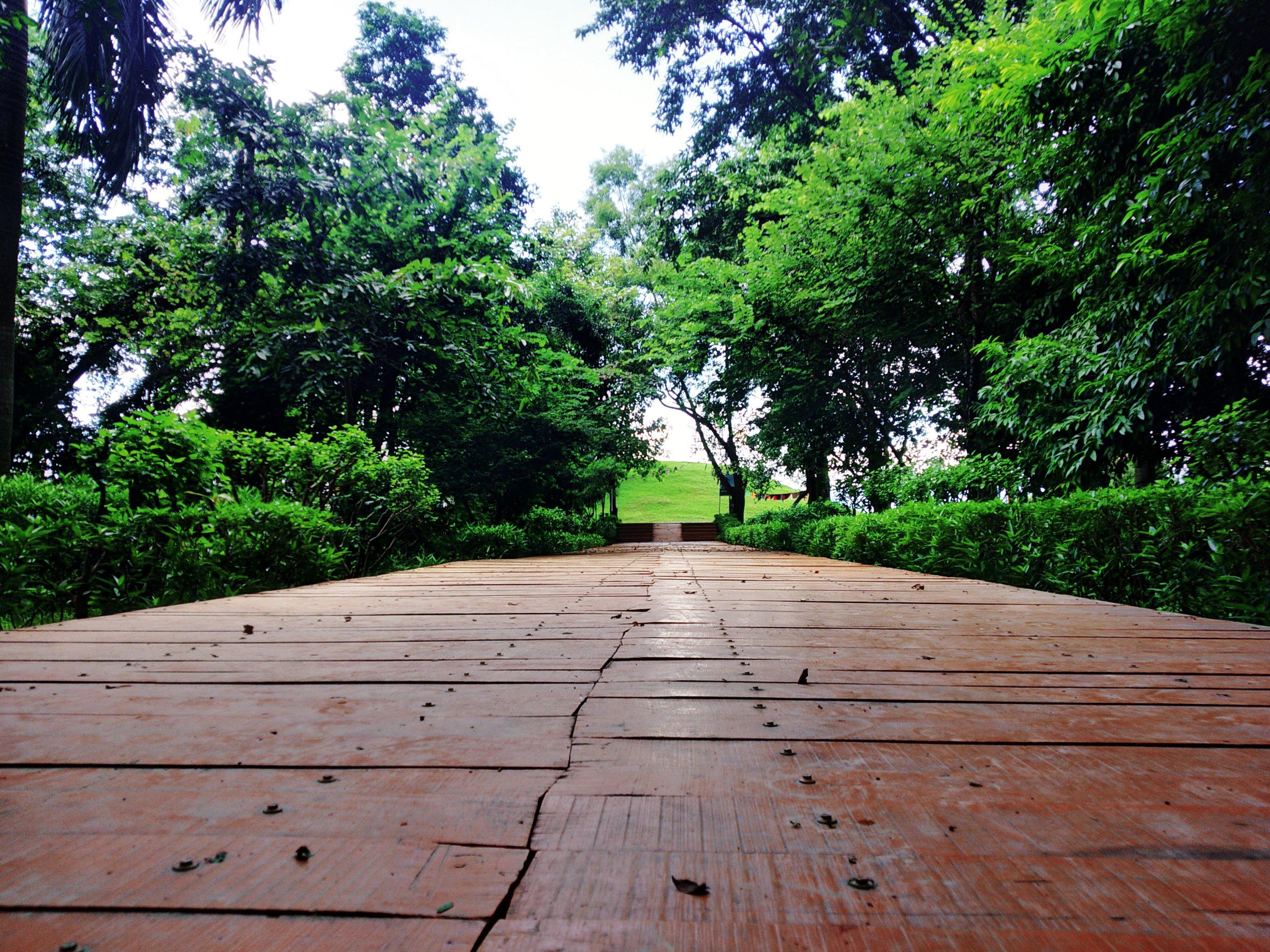 Pathway leading to Ramagrama stupa, Parasi district, Nepal