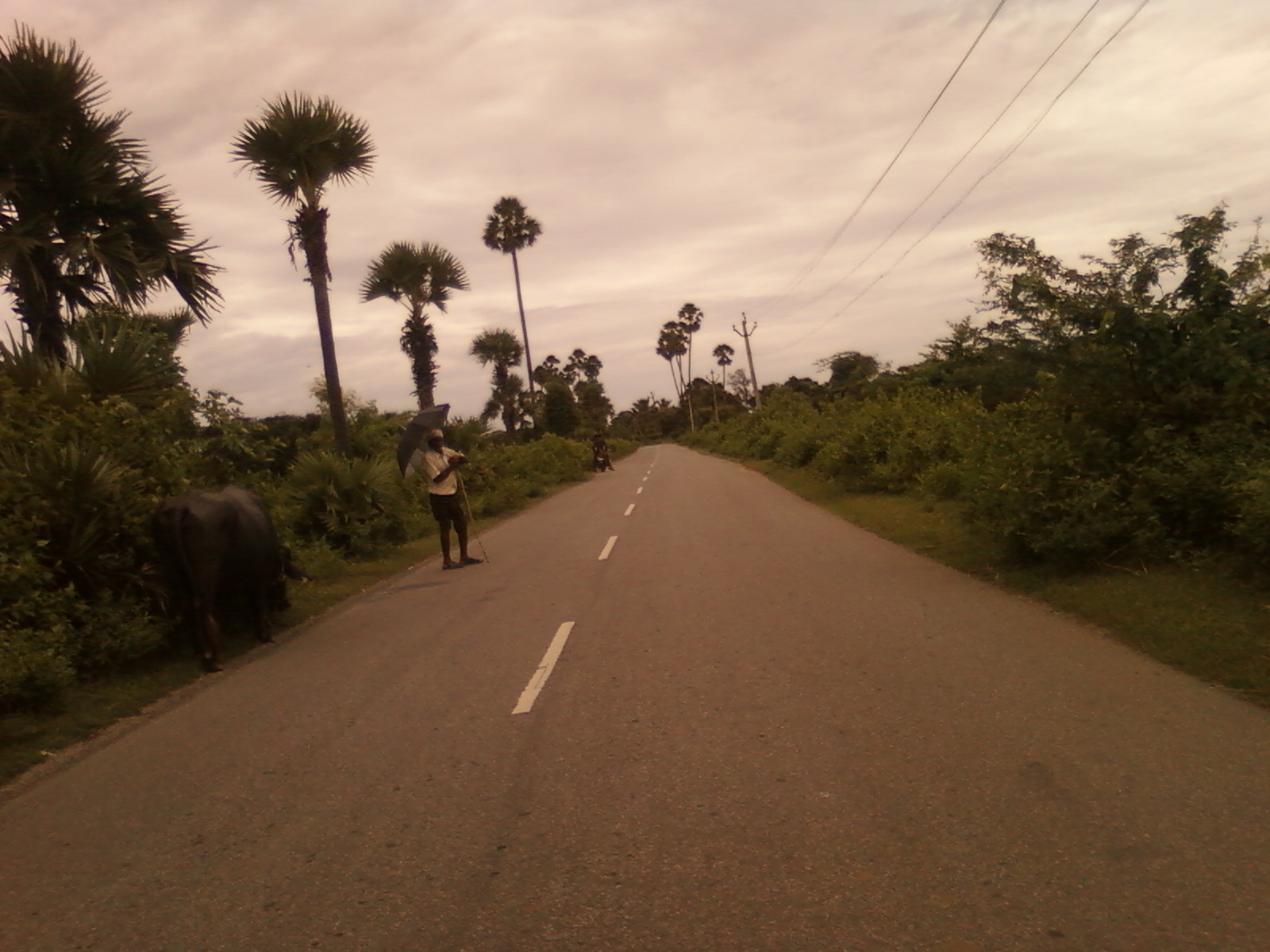 Road at Jami village.jpg