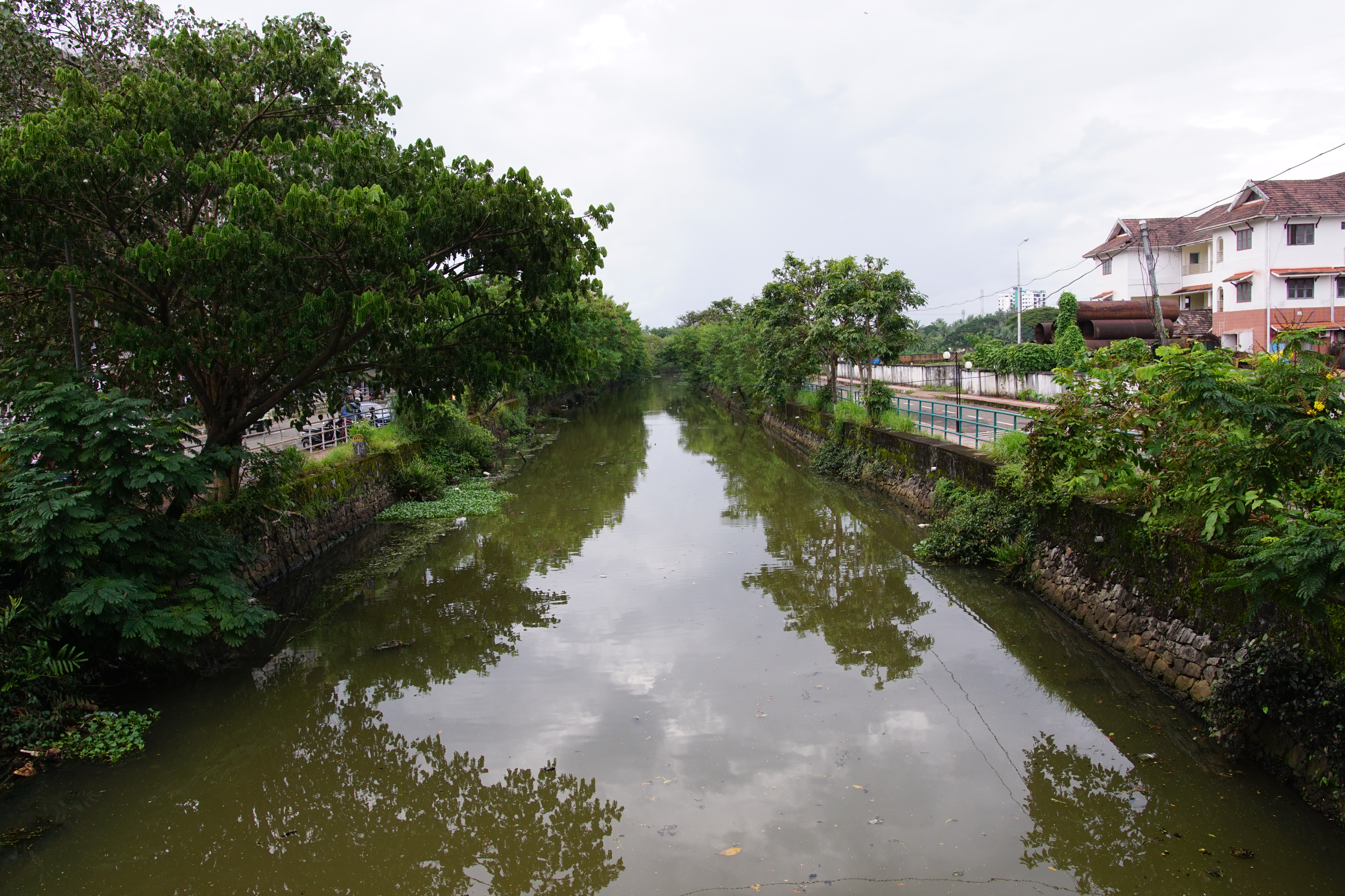Sarovaram 08719.JPG
