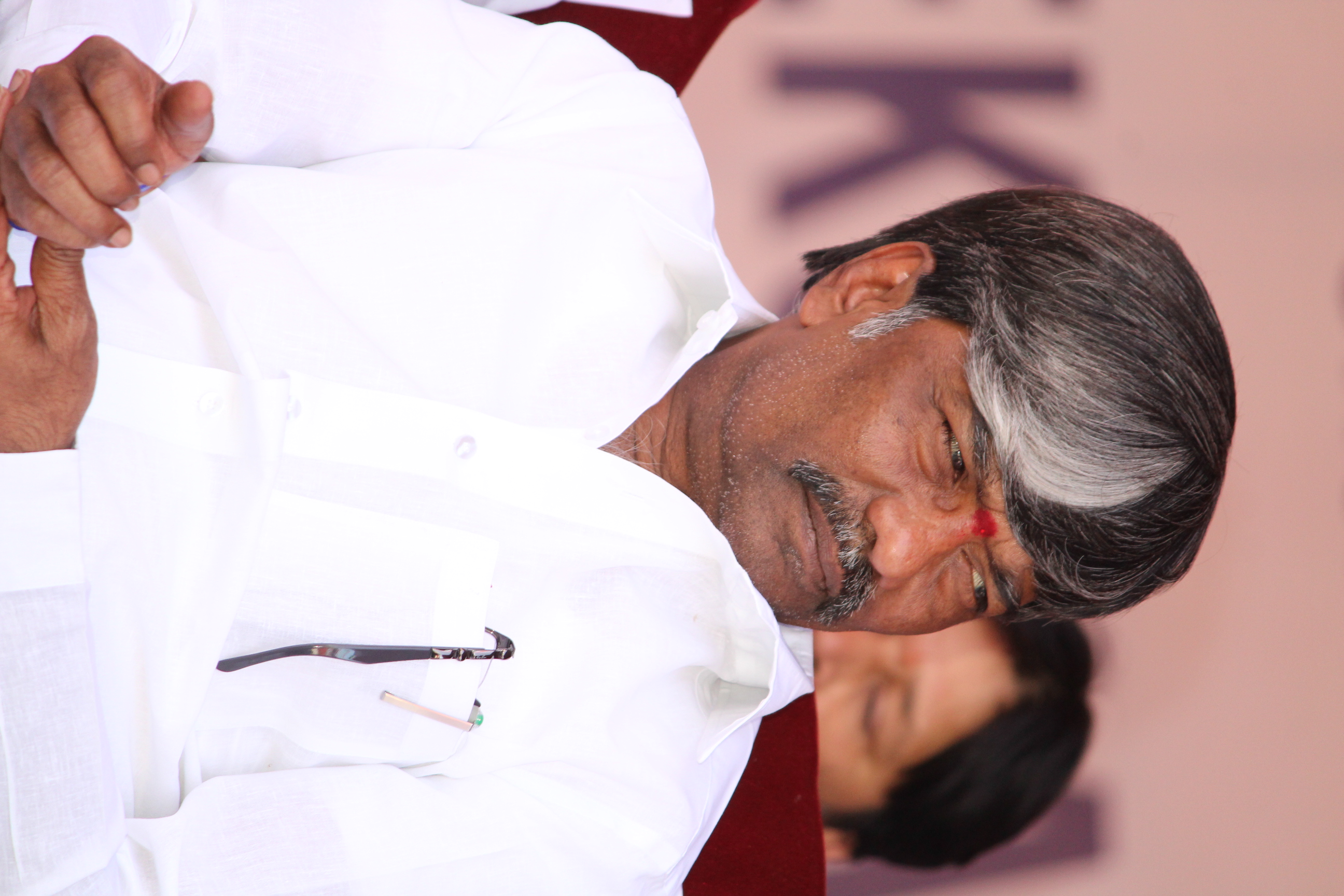 T Padmarao Goud.jpg