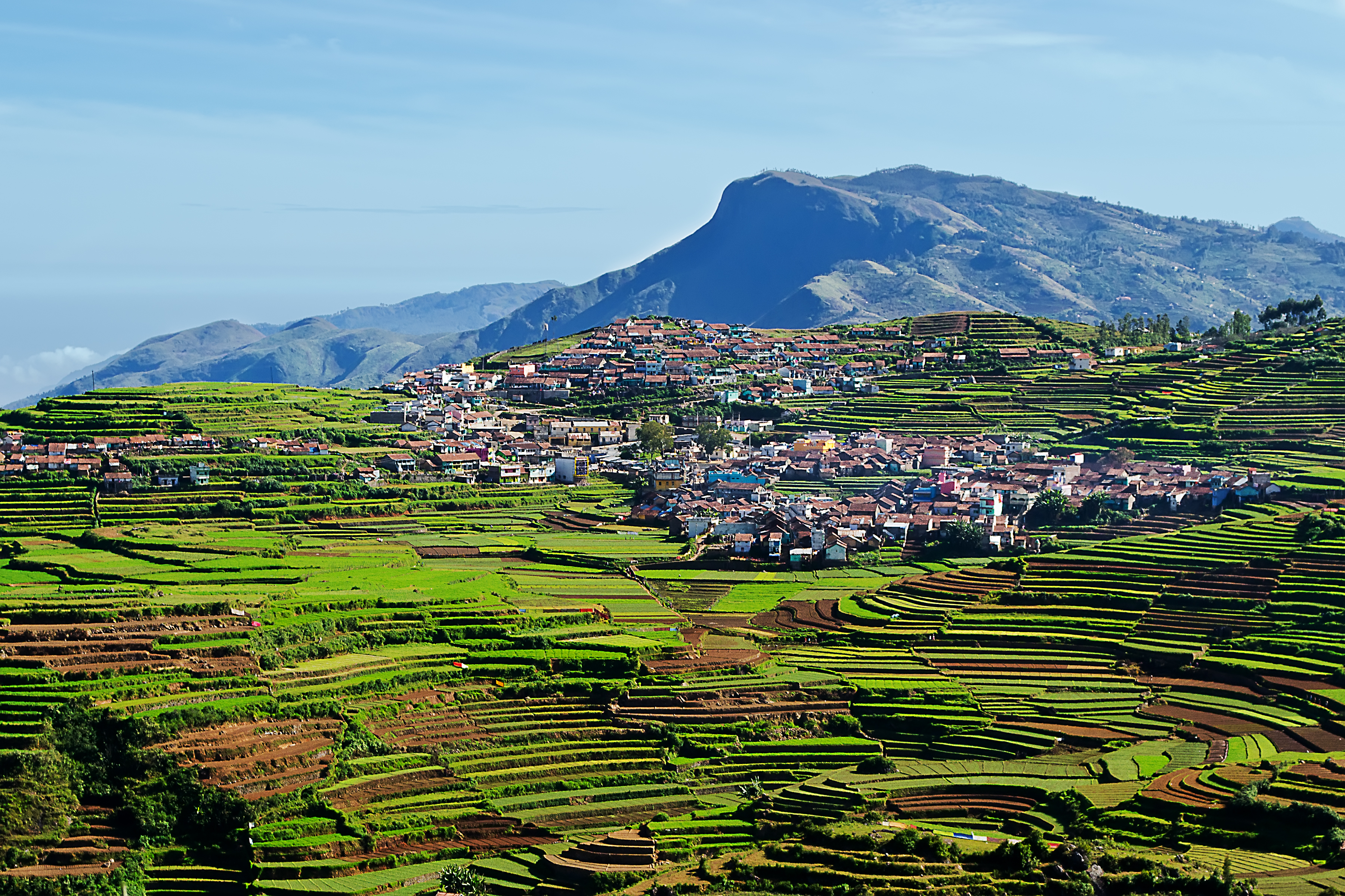 Terraced farming- Kodaikanal.jpg