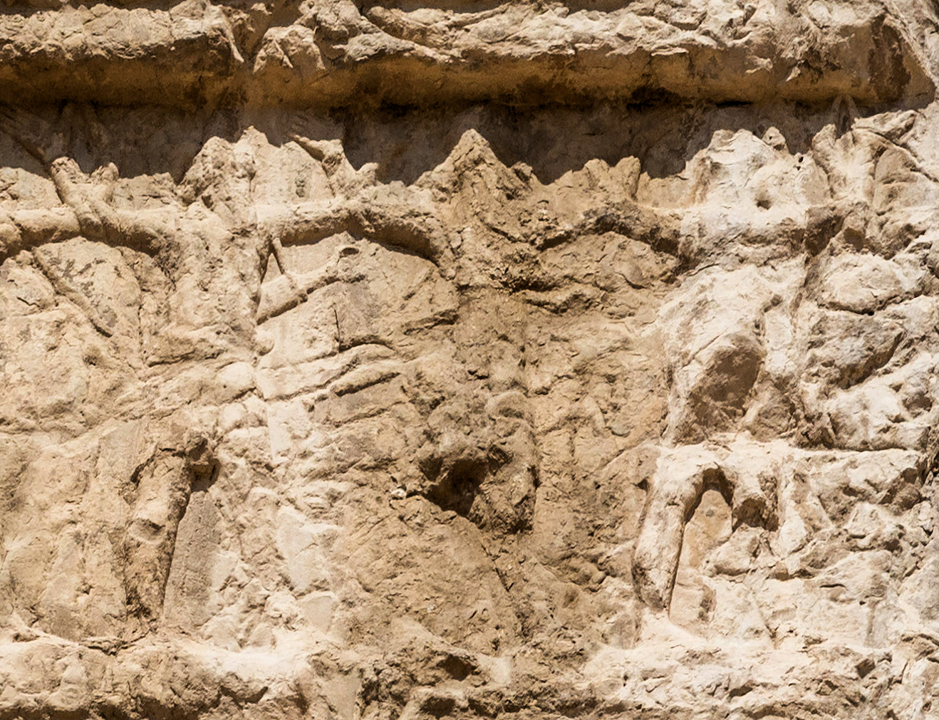 Indian soldiers on the tomb of Darius I (c. 500 BCE)