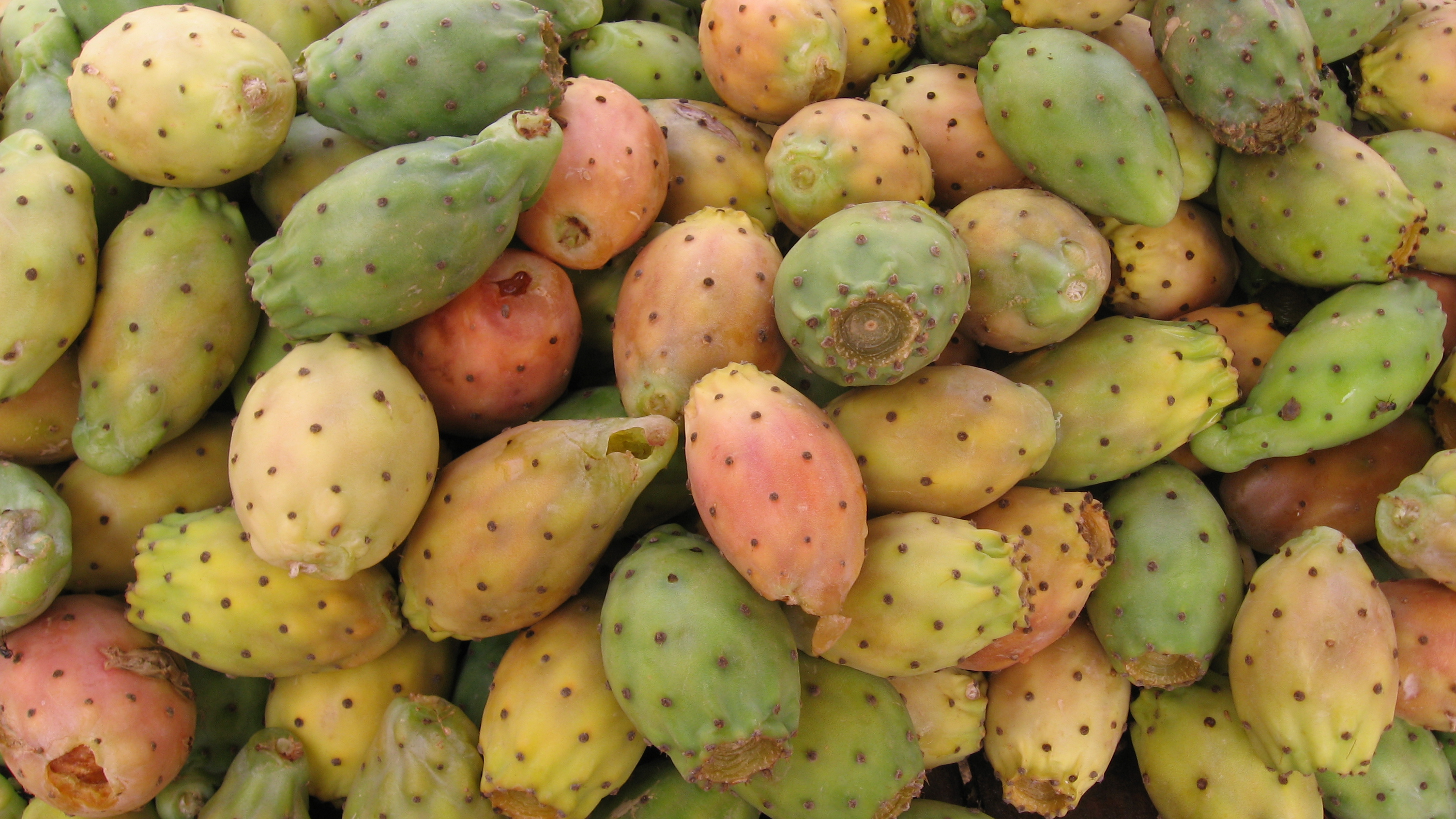 State Fruit of Eritrea