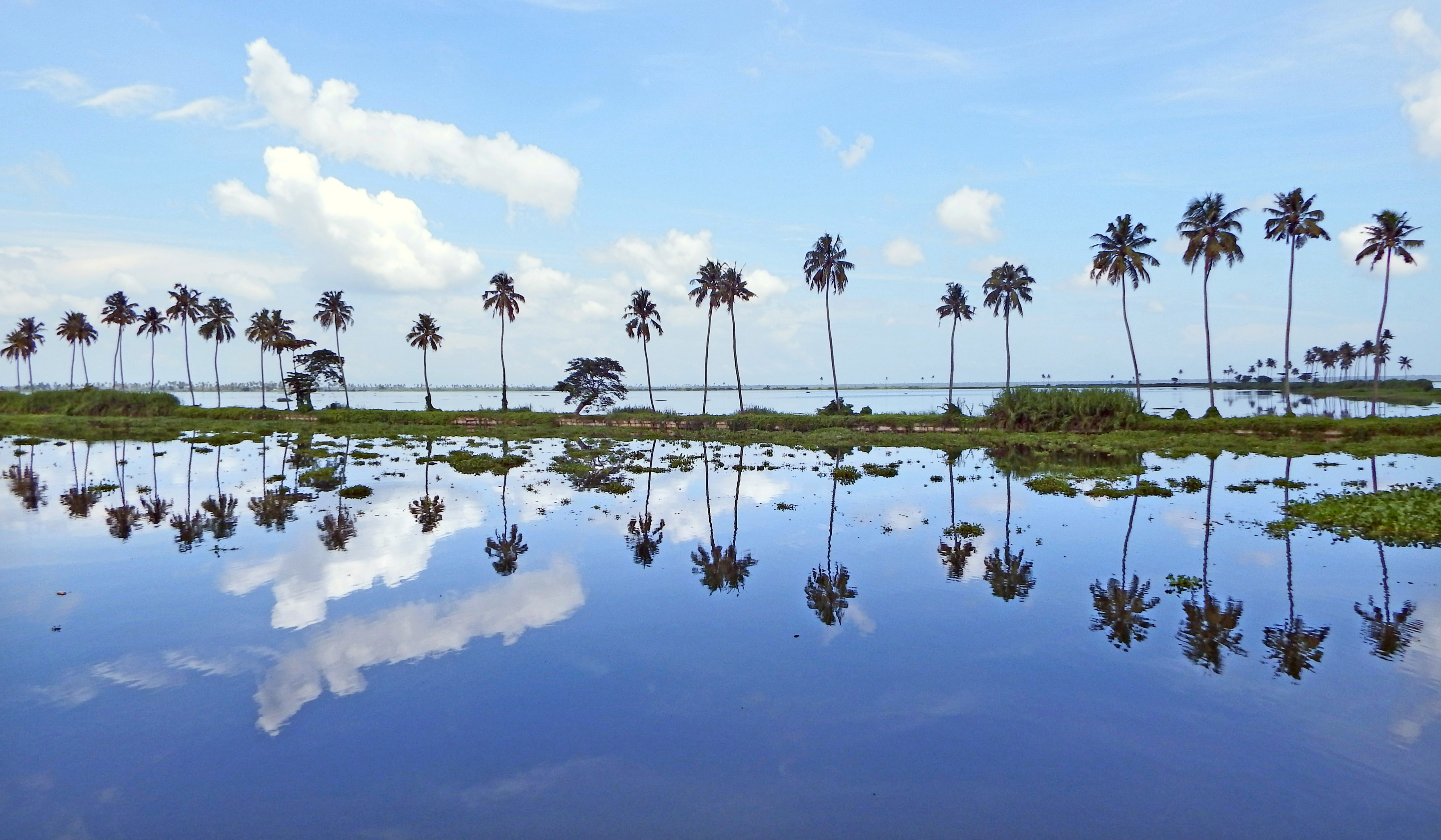 Vembanad, the largest lake in India, is a portion of the Kerala Backwaters.