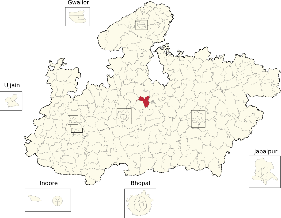 Vidhan Sabha constituencies of Madhya Pradesh (145-Basoda).png