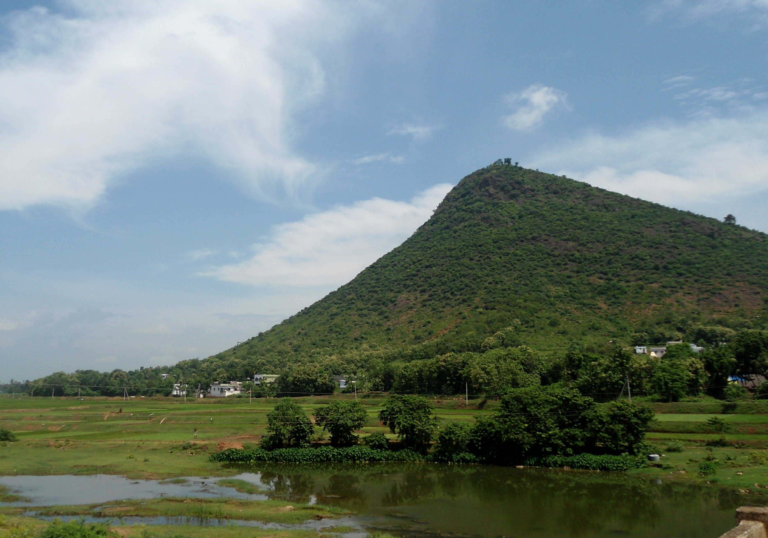 View of Padmanabham Hillock and River Gosthani