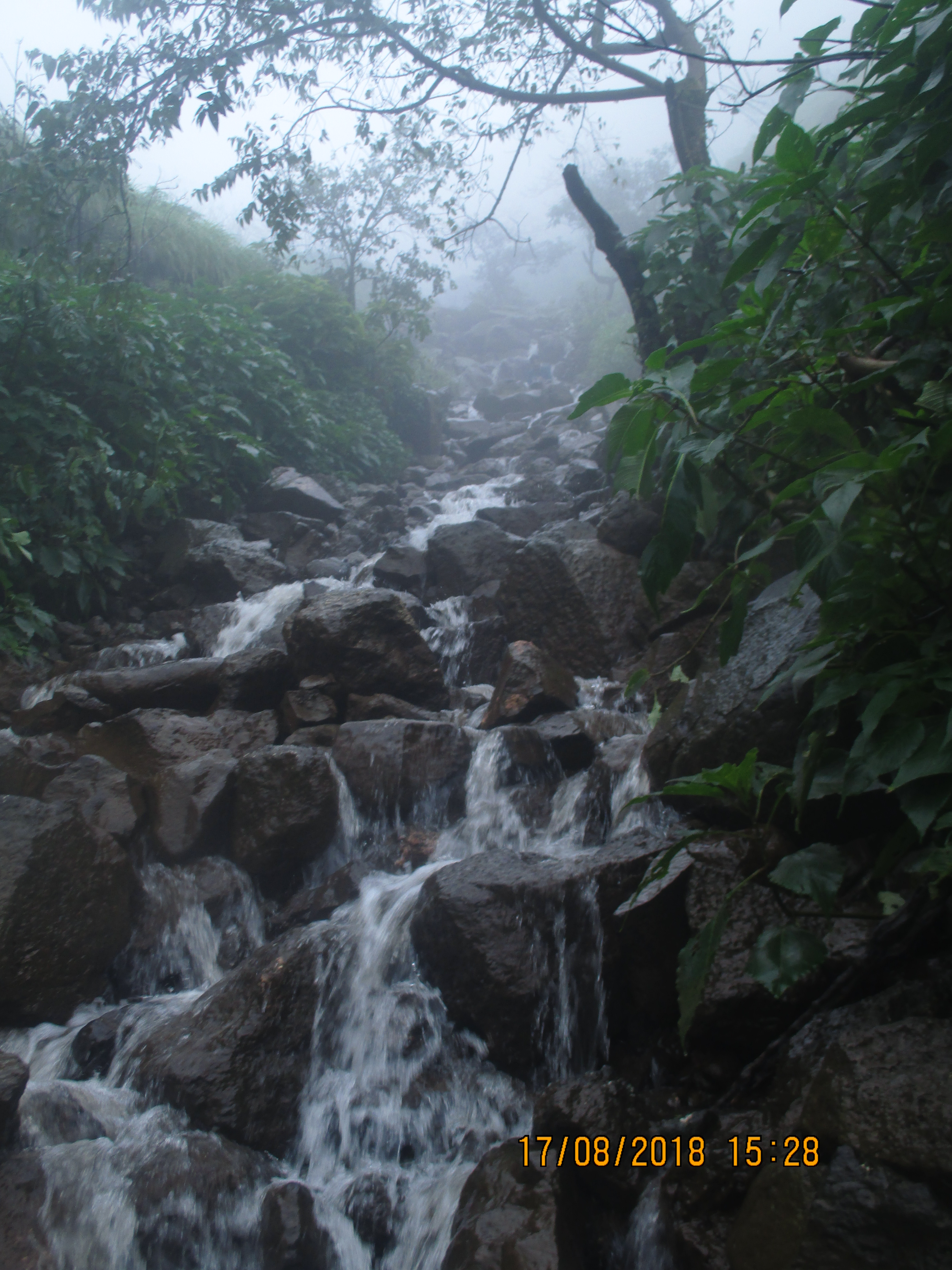 Trek way near from Lohgad