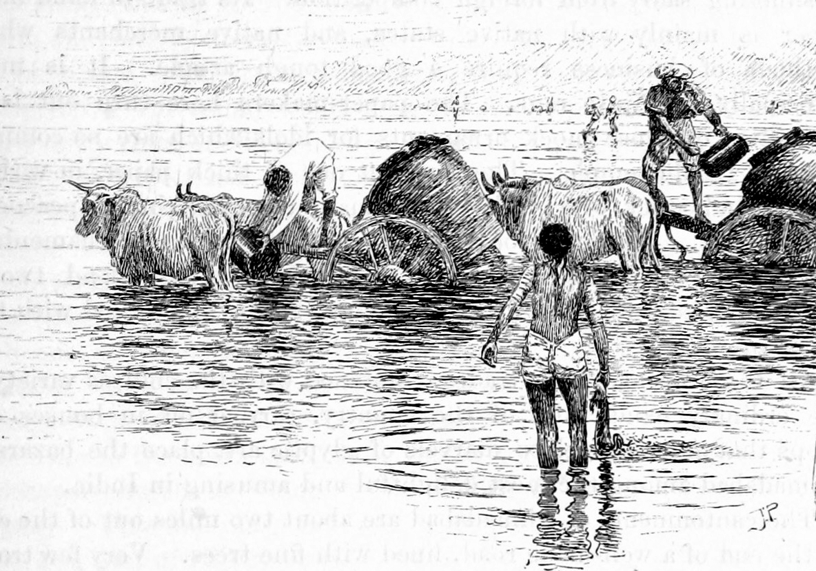 Watercarts in Sabarmati near Ahmedabad in 1890s