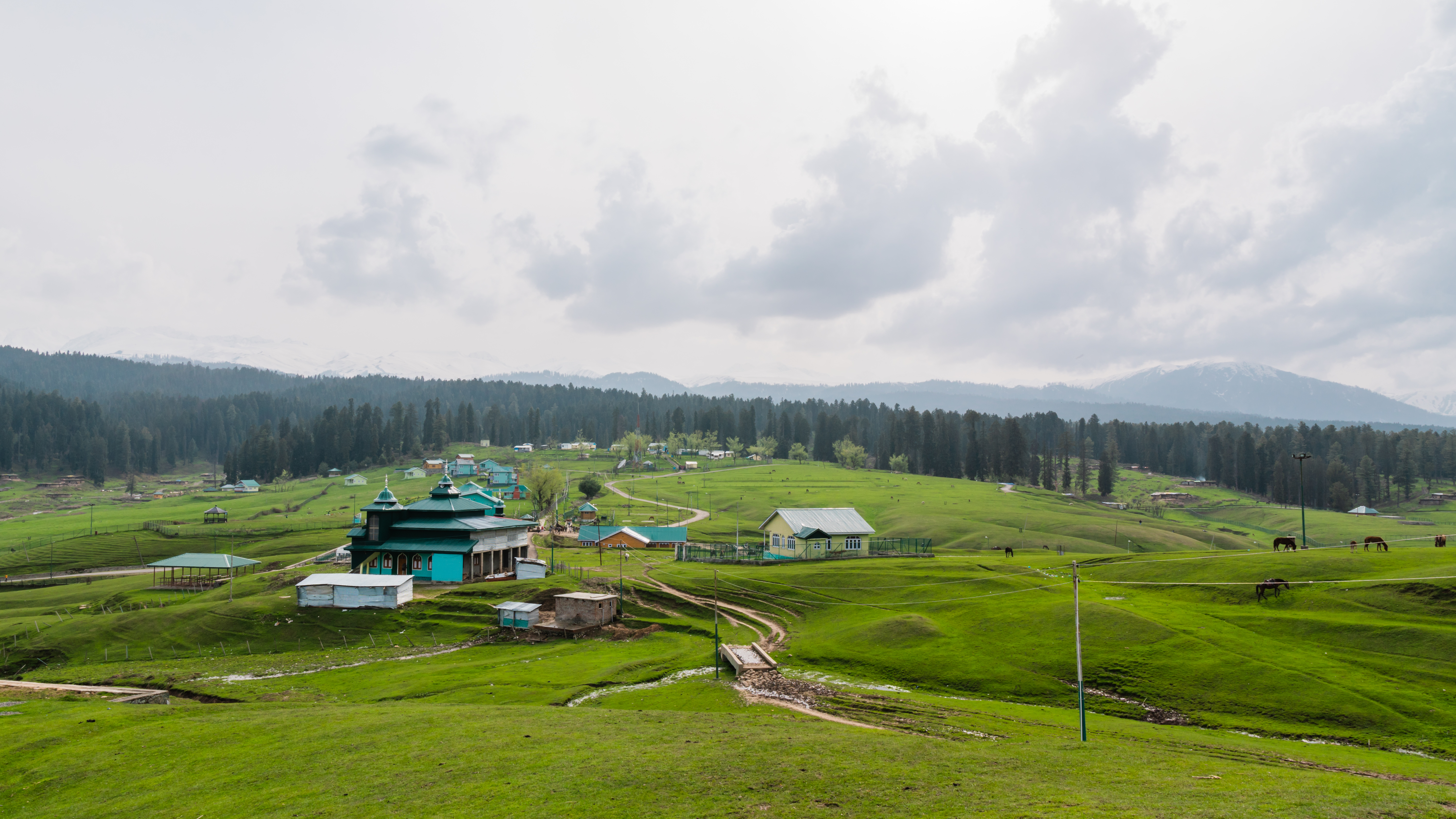 View of Yusmarg
